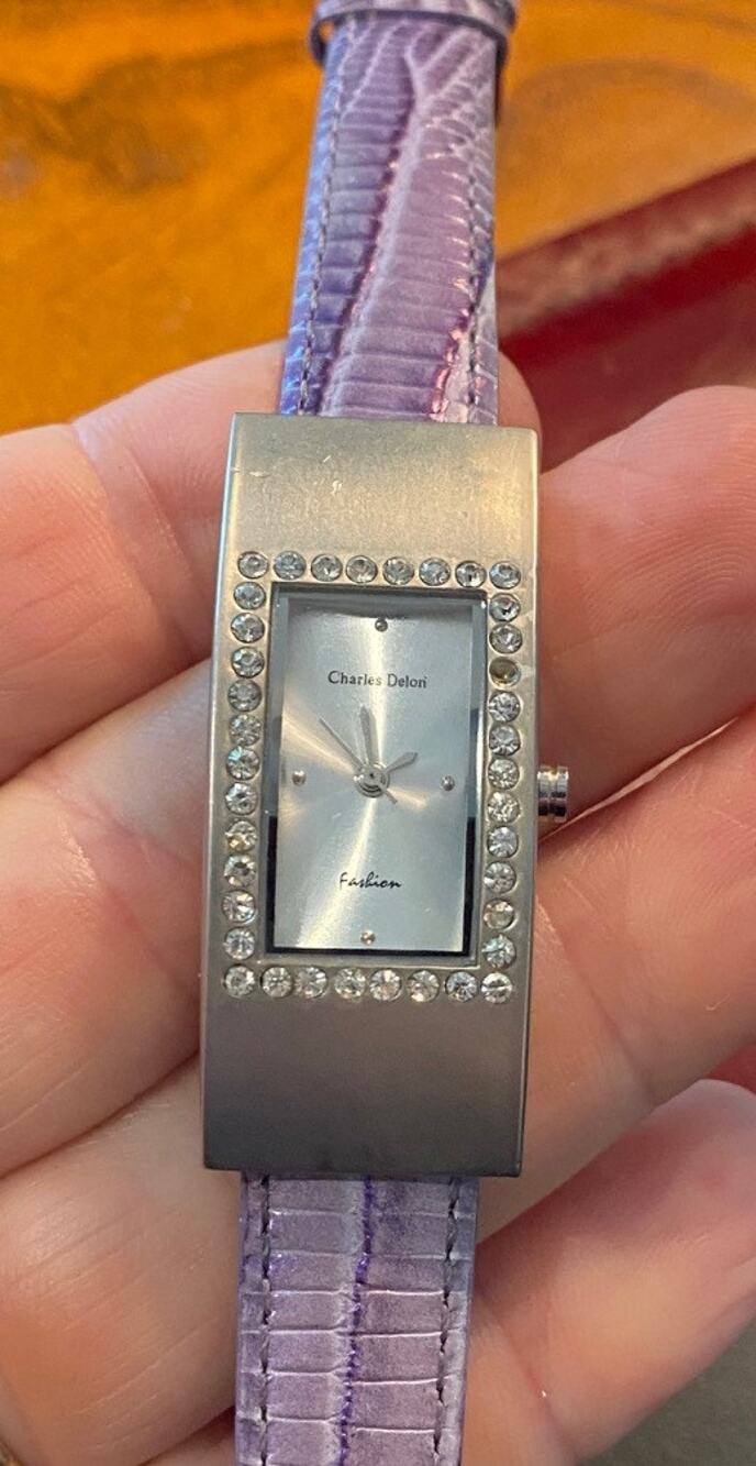 Women's 20mm Brushed Metal Tone Charles Delon Watch, 2141
